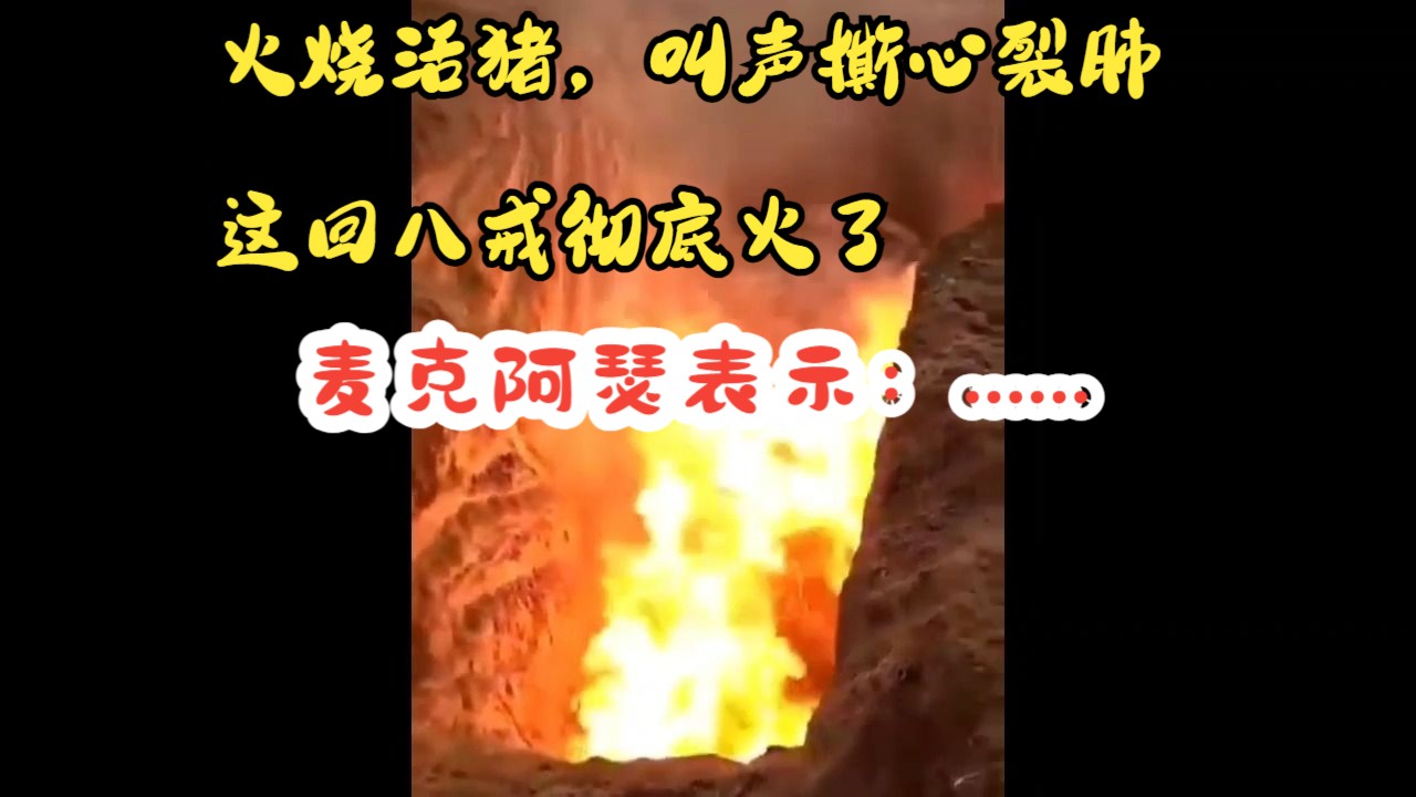 火烧活猪,叫声撕心裂肺 这回八戒彻底火了!哔哩哔哩bilibili