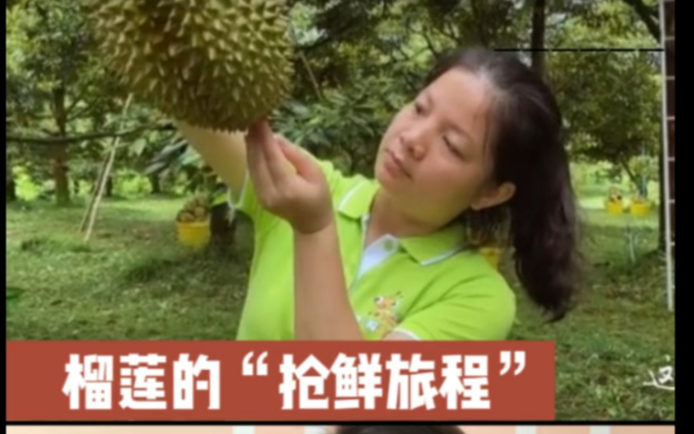 [图]纪录片《我们这十年•幸福中国》榴莲的抢鲜旅程配音