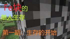 教程 我的世界java版如何添加mod 官启 Forge 哔哩哔哩 つロ干杯 Bilibili