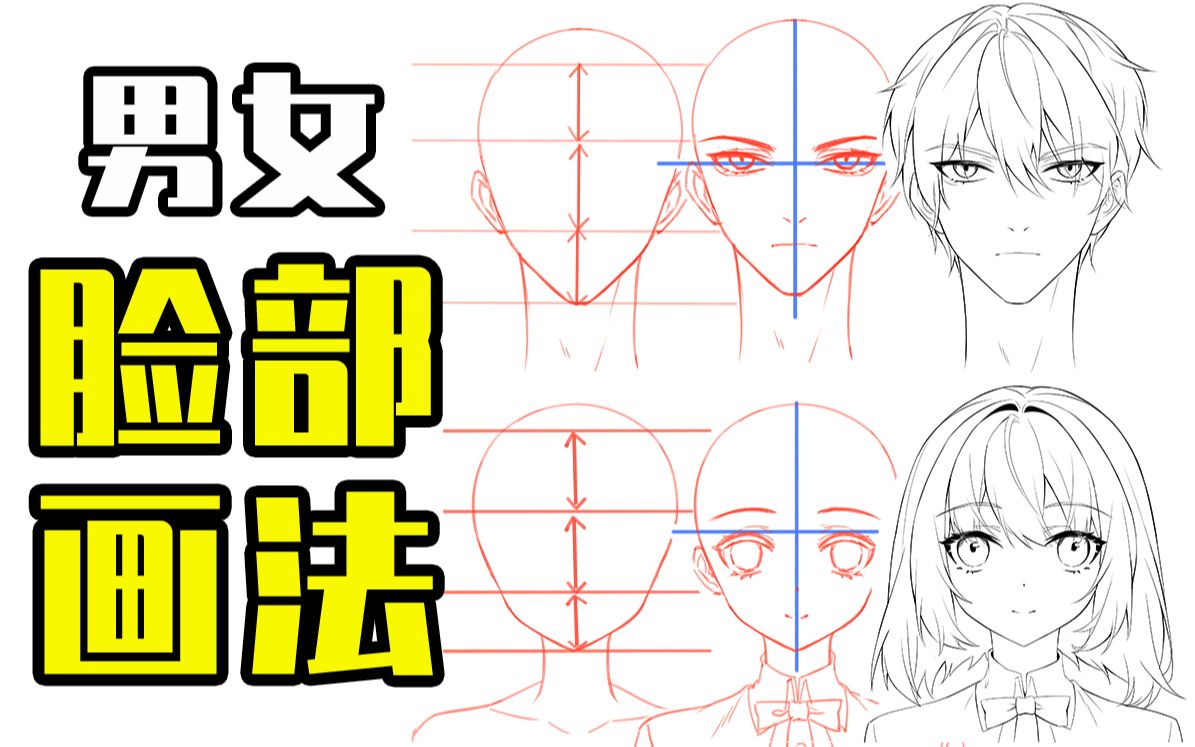 动漫人物男女脸部有什么差异?男女脸部差异画法