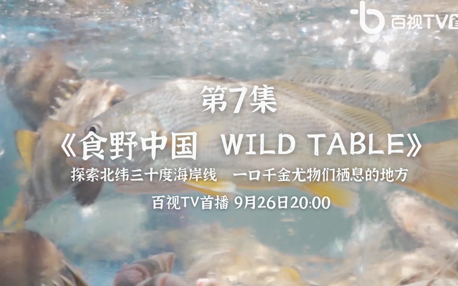 [图]《食野中国 Wild Table》第7集预告片