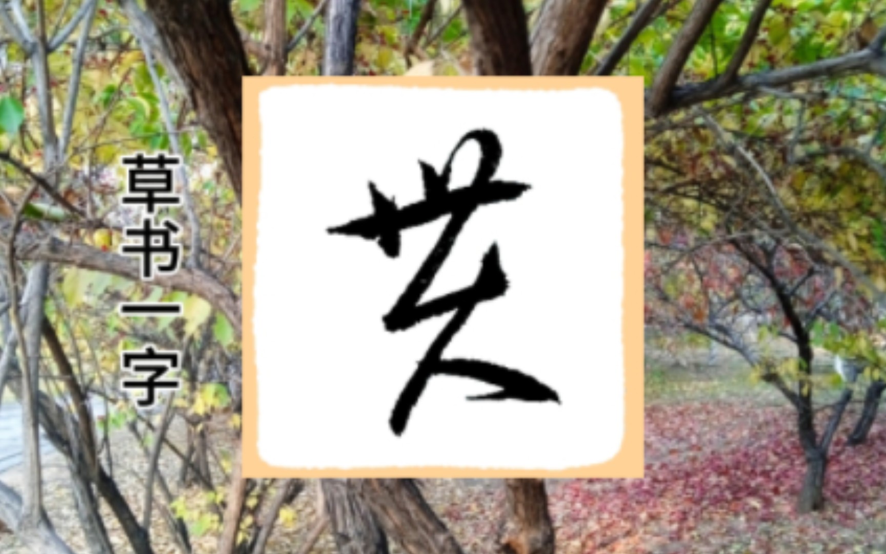 贯字的草书写法.爱生活练草书