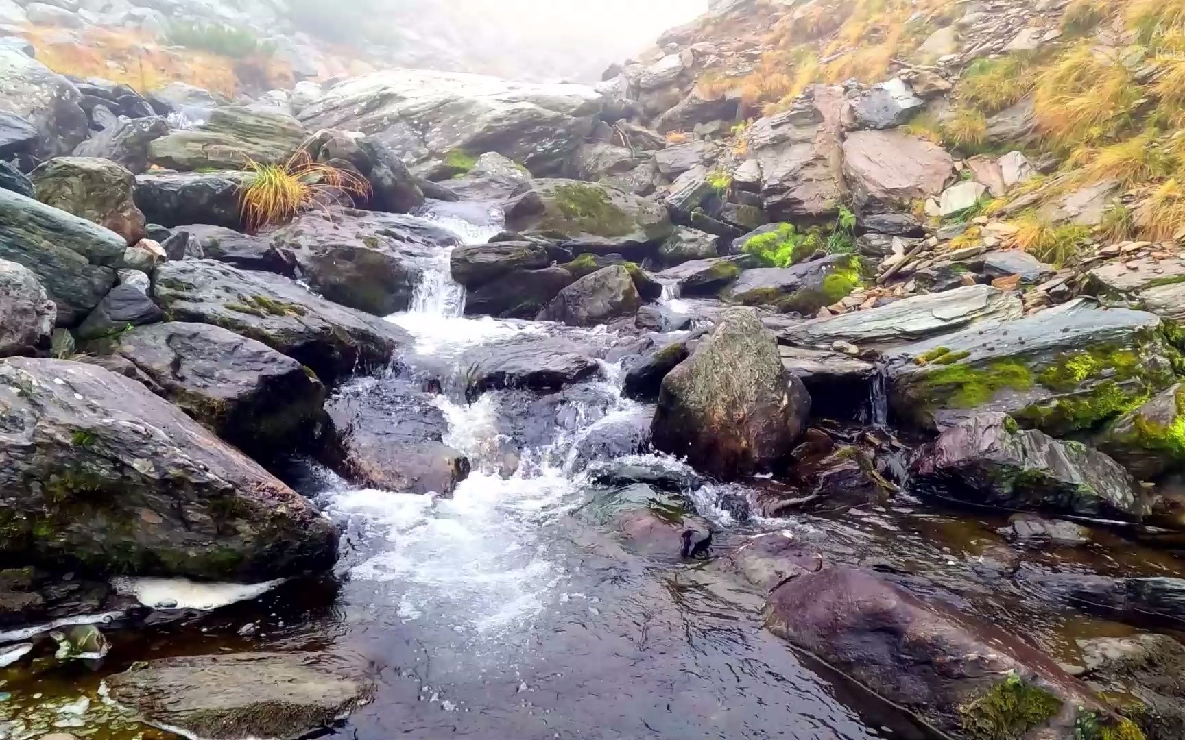 云雾缭绕的山间,一道山涧的声音. 美丽的背景视频和令人放松的自然之声. 1小时.哔哩哔哩bilibili