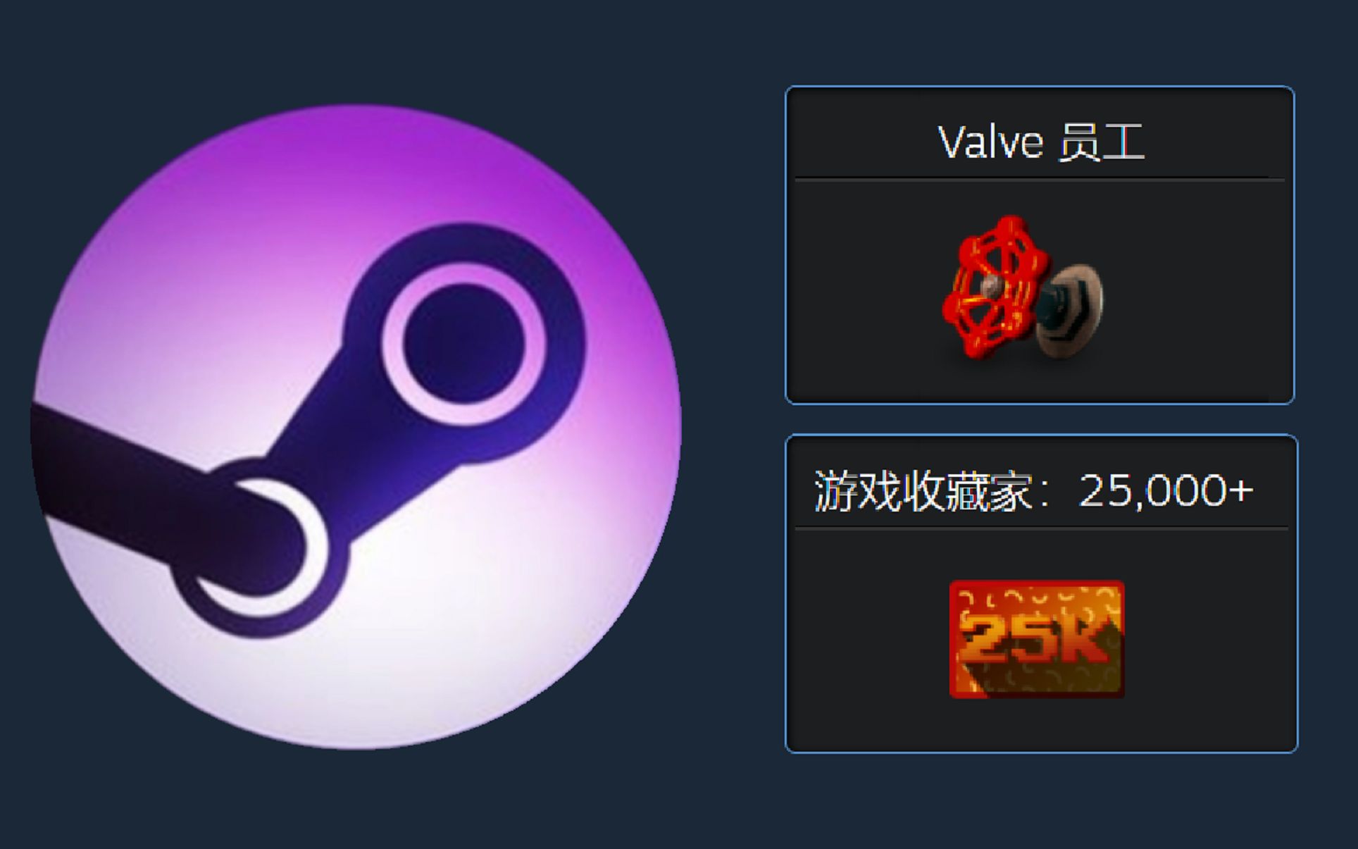 Steam上5个最稀有的徽章!盘点Steam上的最稀有徽章!哔哩哔哩bilibili