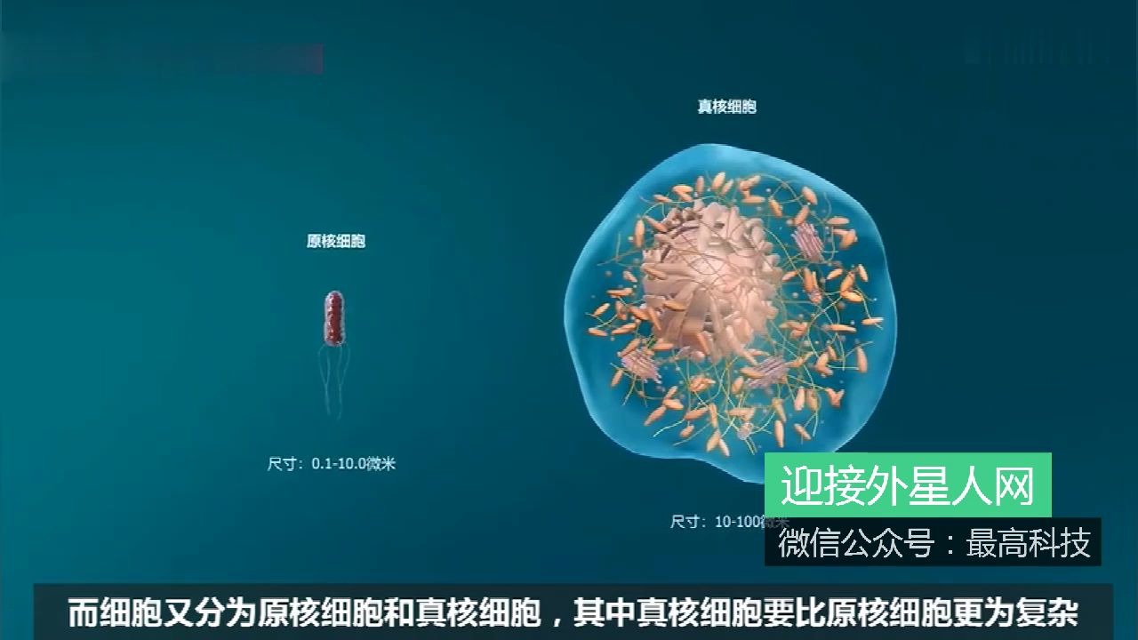 [图]科学家首次在地球发现不呼吸氧气的生物，其结构独特，酷似外星生命