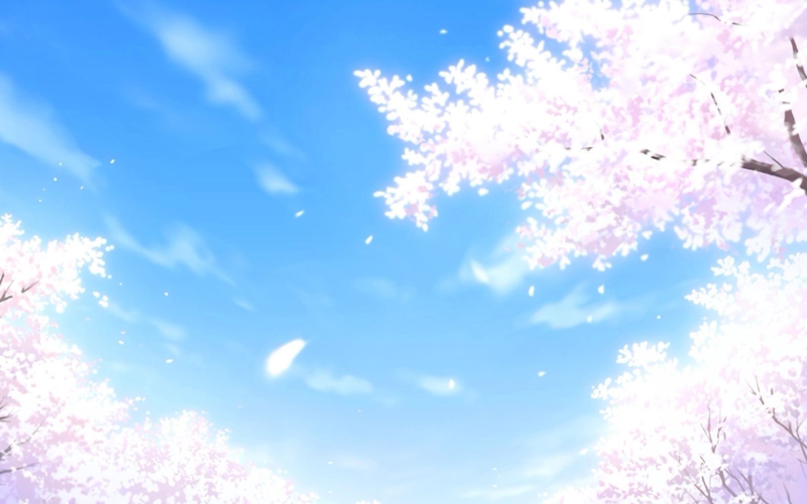 《fate stay night heavens feel》36 樱之梦