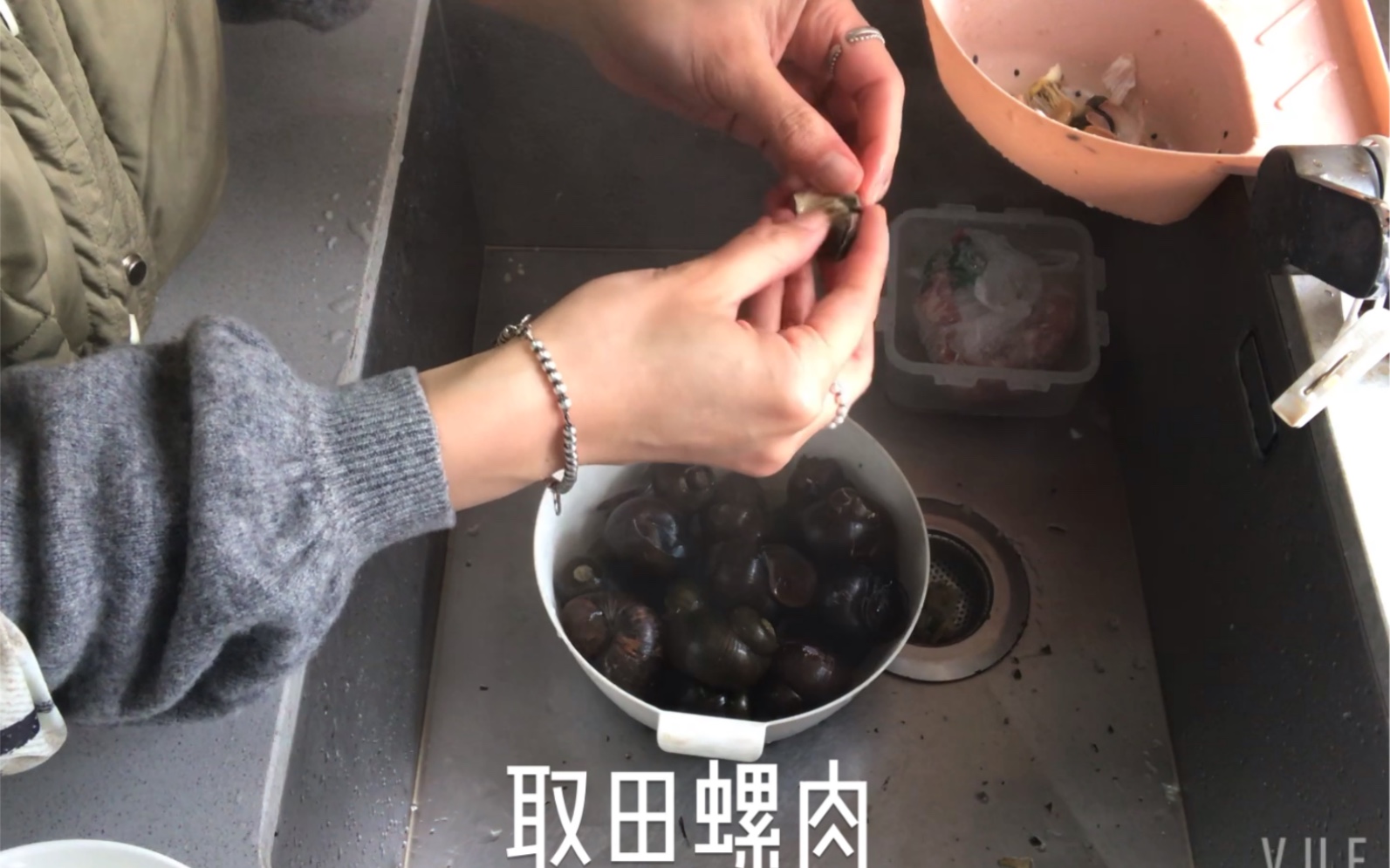 春季美食田螺塞肉哔哩哔哩bilibili