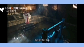 琉璃 璇玑劫狱 司凤名言再现 没有值不值得 只有情不情愿 哔哩哔哩 つロ干杯 Bilibili