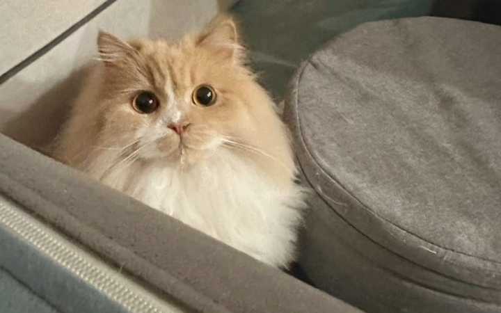 【郑丹妮】应该把他拉黑 问我是不是黑眼圈的臭直男