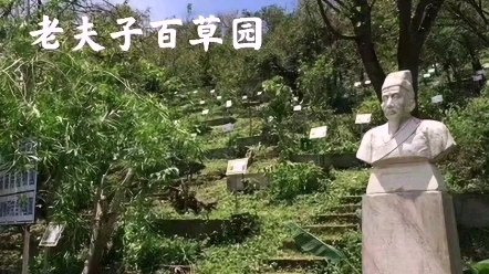 江苏南京江宁谷里老夫子中草药百草园|道地药材种植基地|百草园招商|药材种植加盟|产销一体|黄芪/勺药/艾叶/葛根/苍术/金银花/良种繁育/研发/销售/技术推广...