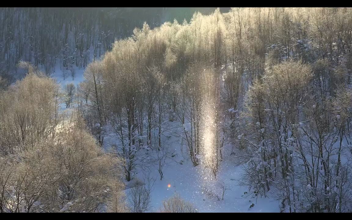 视频素材 ▏d134 2k超高清画质唯美漂亮冬天冬季雪景下雪雪花飘落冰雪