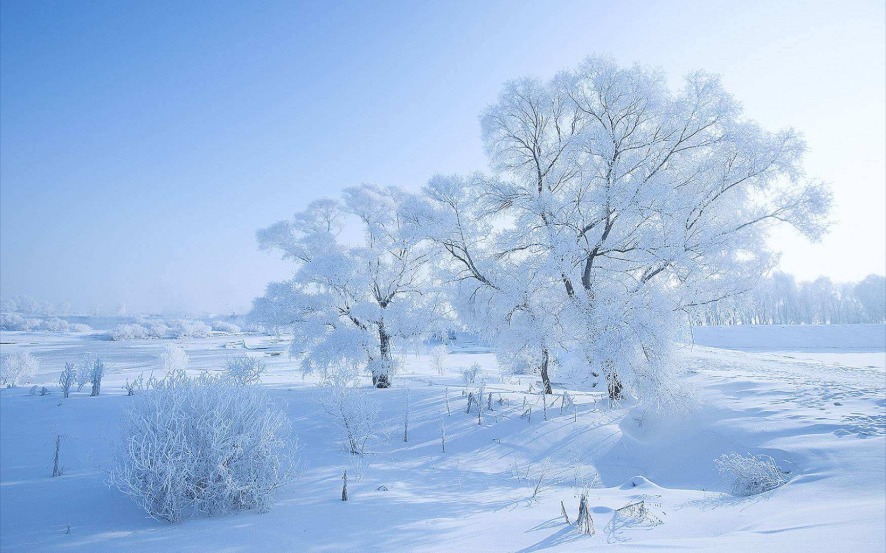 雾凇并不是东北专属,新疆的雾凇也很美!