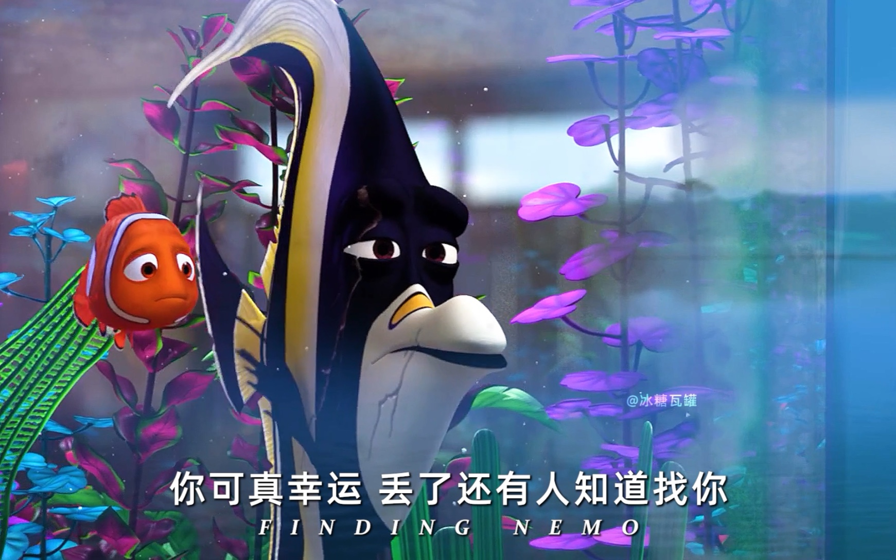 “我已经失去了妻子和399个孩子，不能再失去你了！”