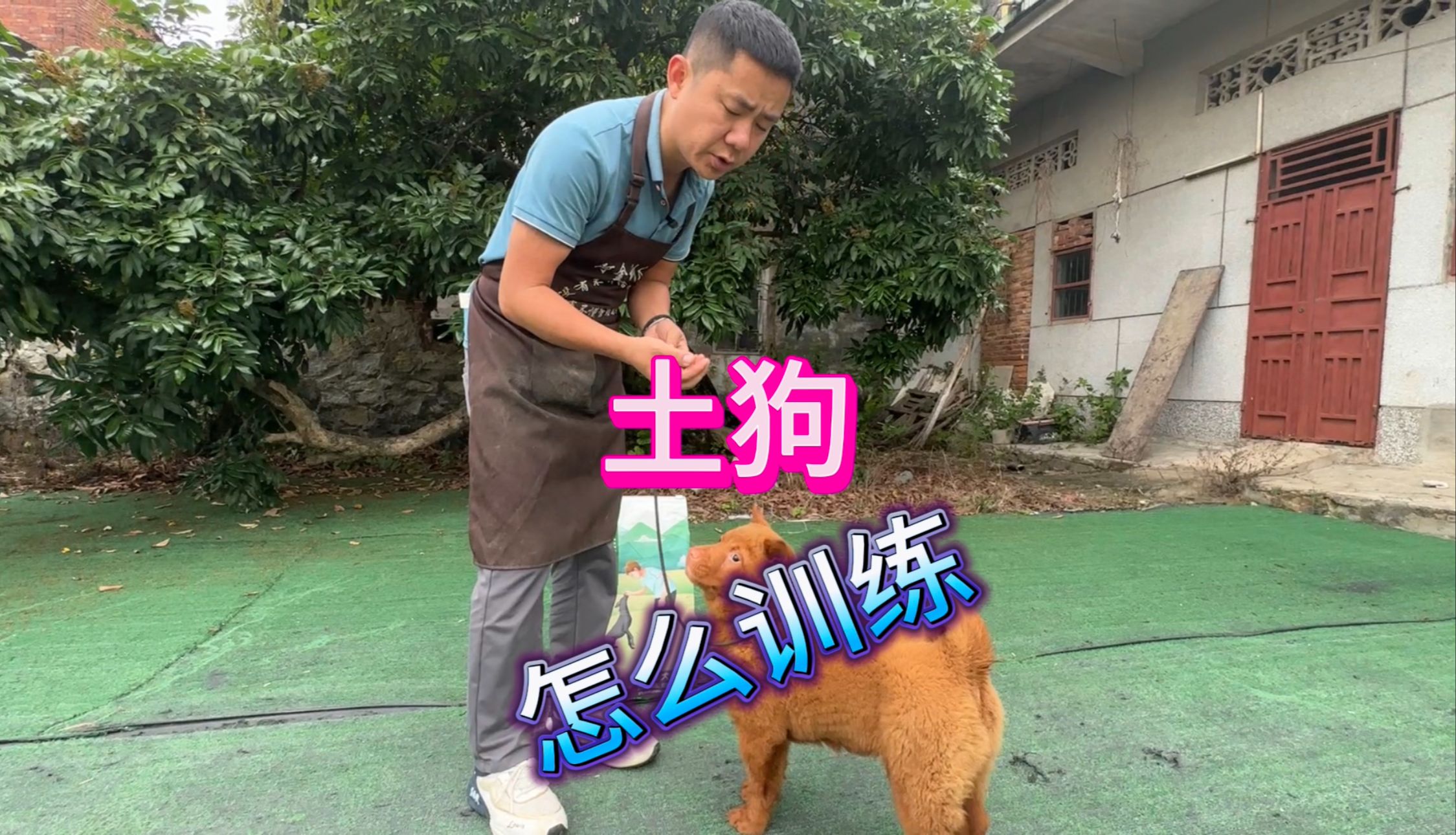 土狗怎么训练它才能听话?资深训犬师保姆式教学,轻松学会训犬哔哩哔哩bilibili