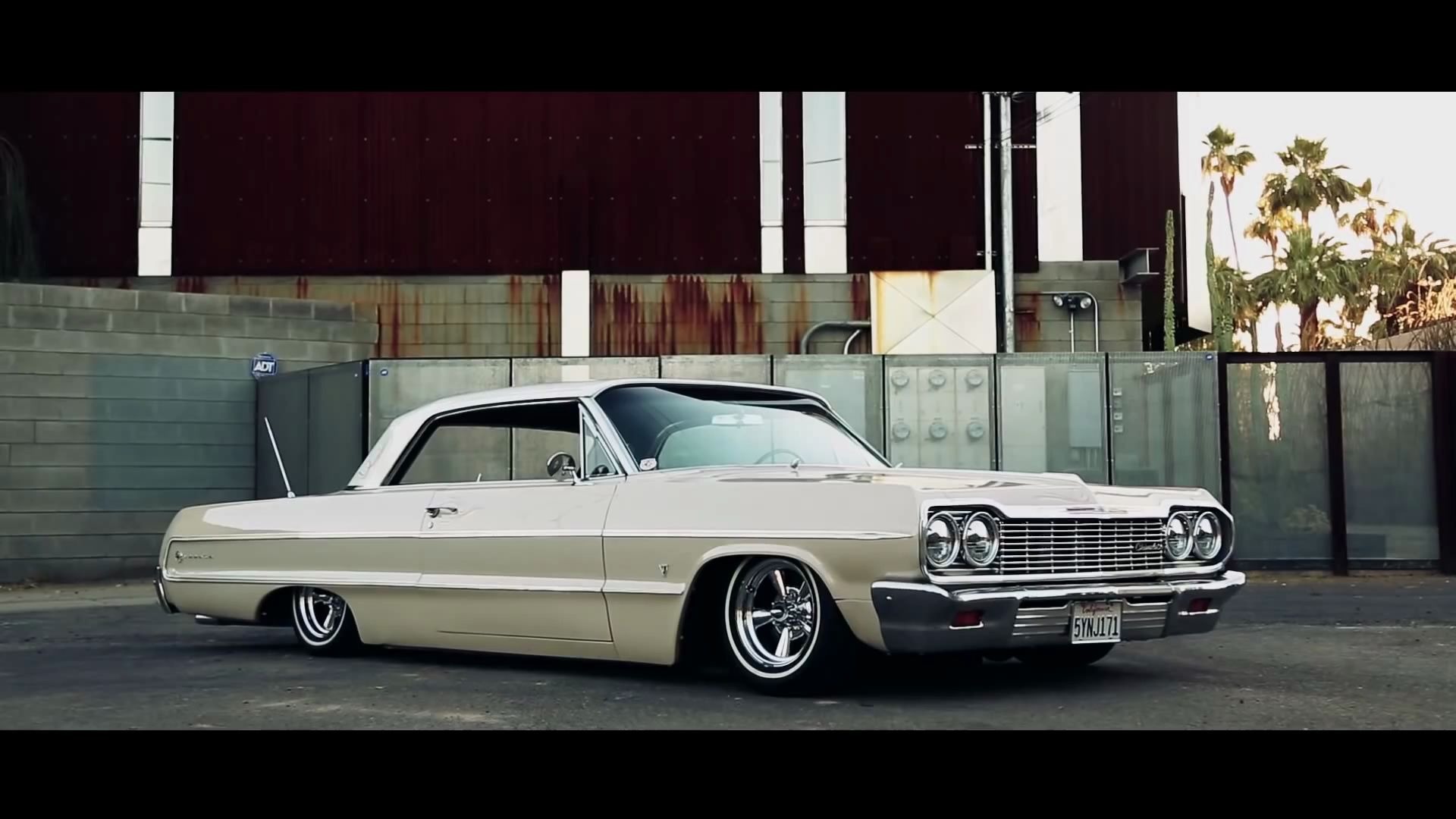 impala 1964图片