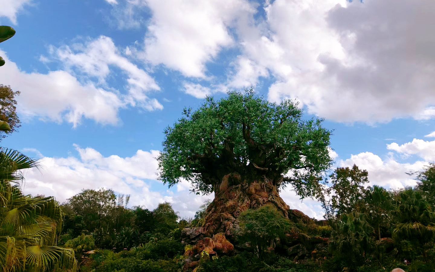 [图]【Disney's Animal Kingdom】奥兰多迪士尼动物王国一日游（含阿凡达，Safari，狮子王歌舞表演和水上灯光秀）