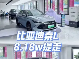 下载视频: 24秦L价格补贴第一枪，8.18w直接提走