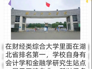 武汉经济学院怎么样呢?哔哩哔哩bilibili