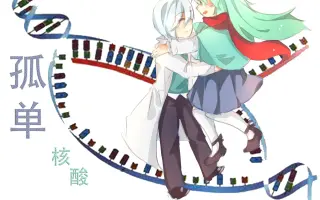 哔哩哔哩