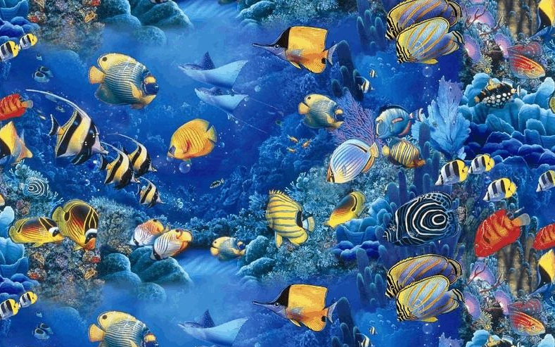 蓝色海洋的奥秘312岁大片质感沉浸式体验100部分级英语动画片英语原版