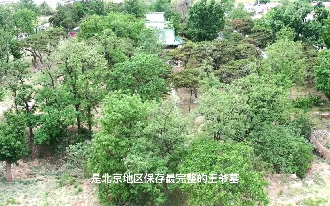 [图]九王坟，又称孚郡王墓，生前养尊处优，死后墓地保存完整