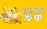 发电动物：为什么会发电的都是鱼？