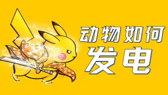 【鬼谷闲谈】发电动物：为什么会发电的都是鱼？