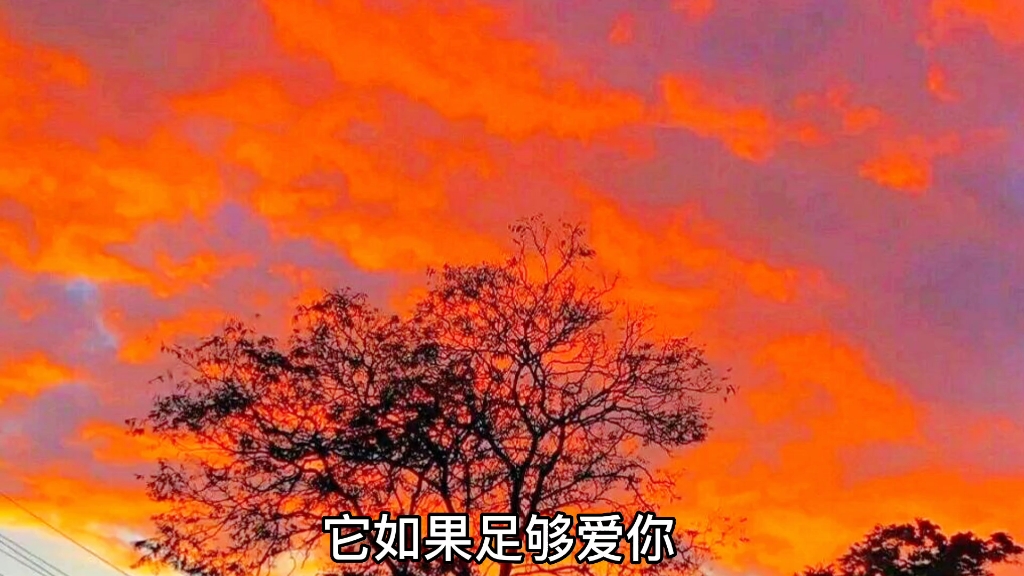 [图]“我留不住的就放飞吧”#情感#爱情