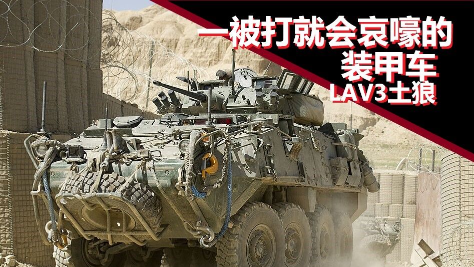 一被打就会哀嚎的装甲车—LAV3“土狼”