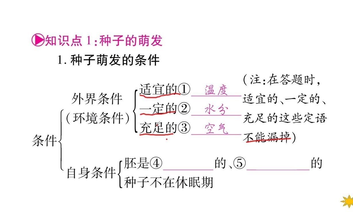 七年级上册 第三单元 第二章 被子植物的一生哔哩哔哩bilibili