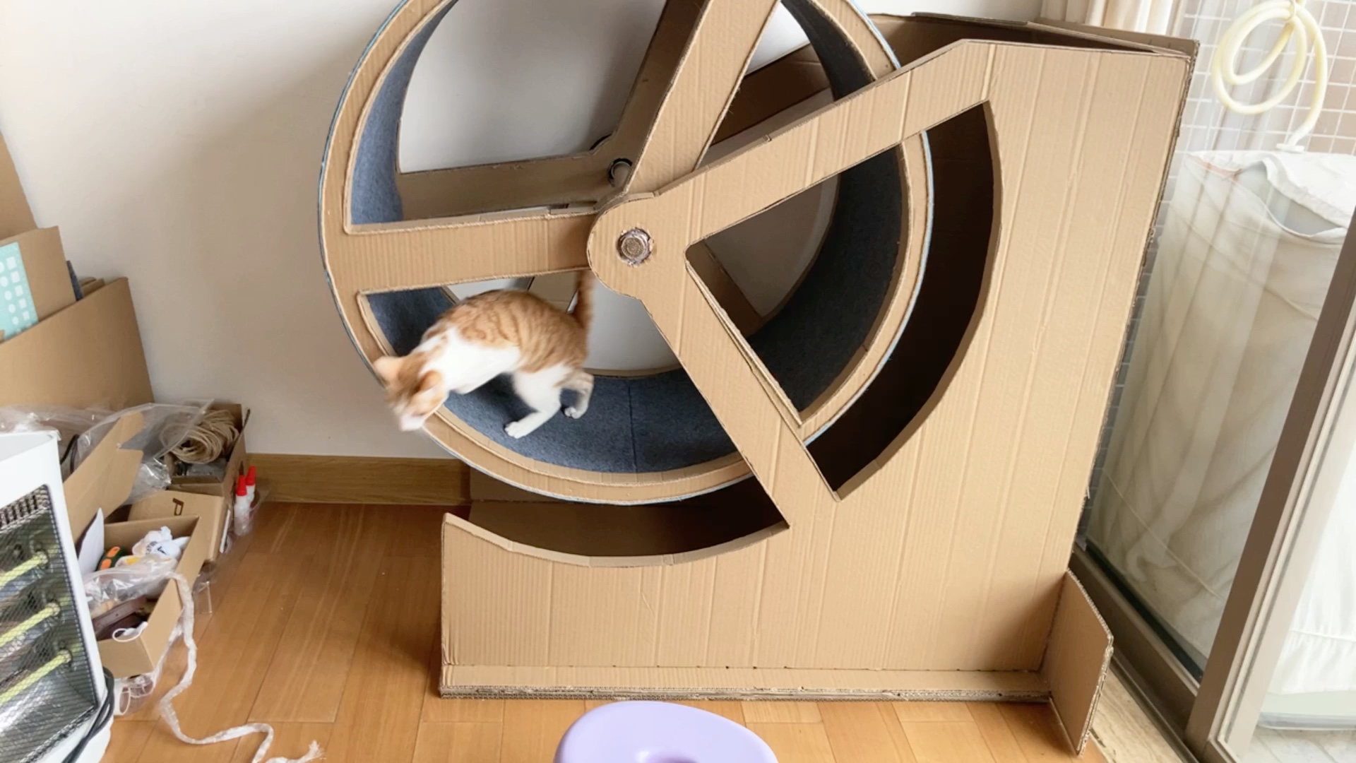 跟up一步一步学 做成的猫咪跑步机 up是最帅的工程师_哔哩哔哩_bili