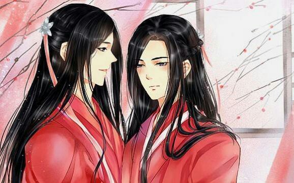 《魔道祖师》曦澄图哔哩哔哩bilibili