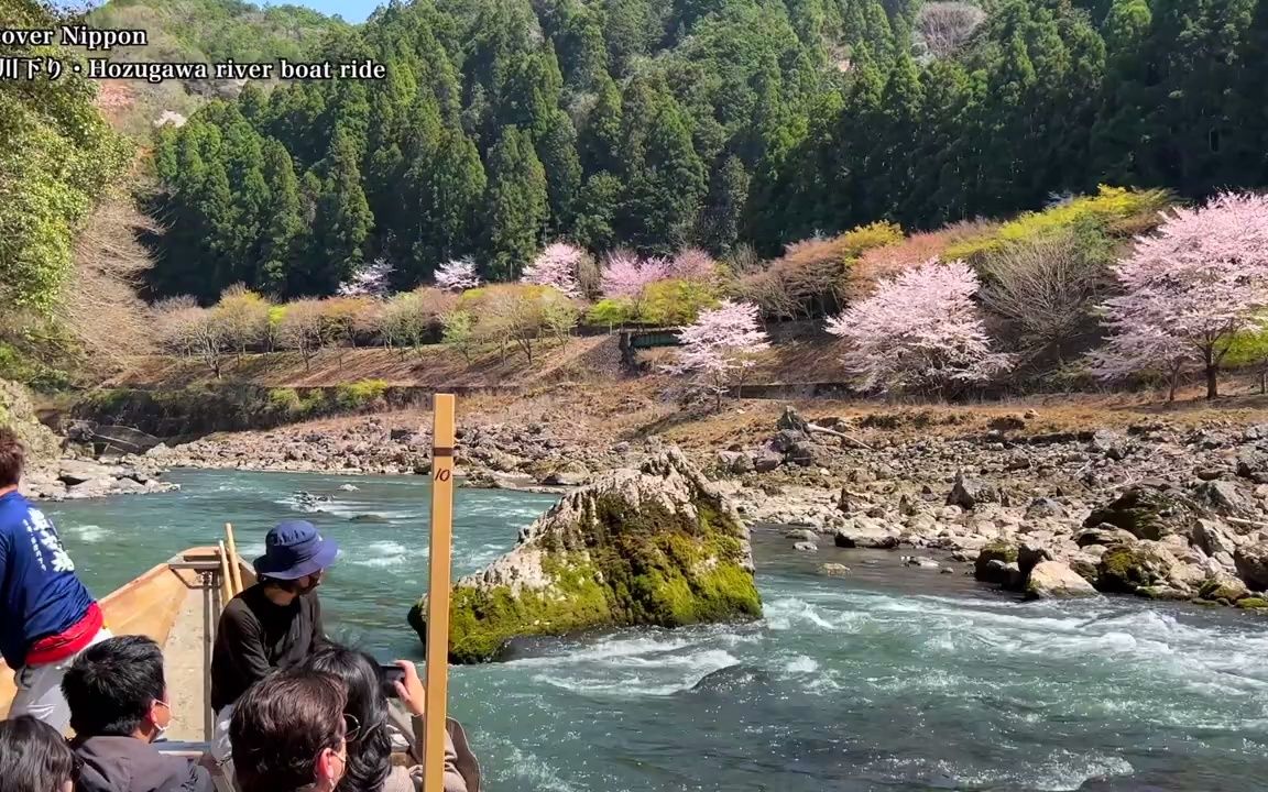 [图]京都の桜 満開 花見 京都観光 旅行 案内 清水寺 嵐山 鴨川 東山 背割堤 鴨川 保津川下り 日本の桜 桜の名所