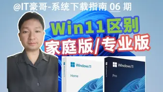 轻松搞懂：Win11家庭版与专业版区别！有必要升级专业版吗？(Windows11 家庭版、专业版)