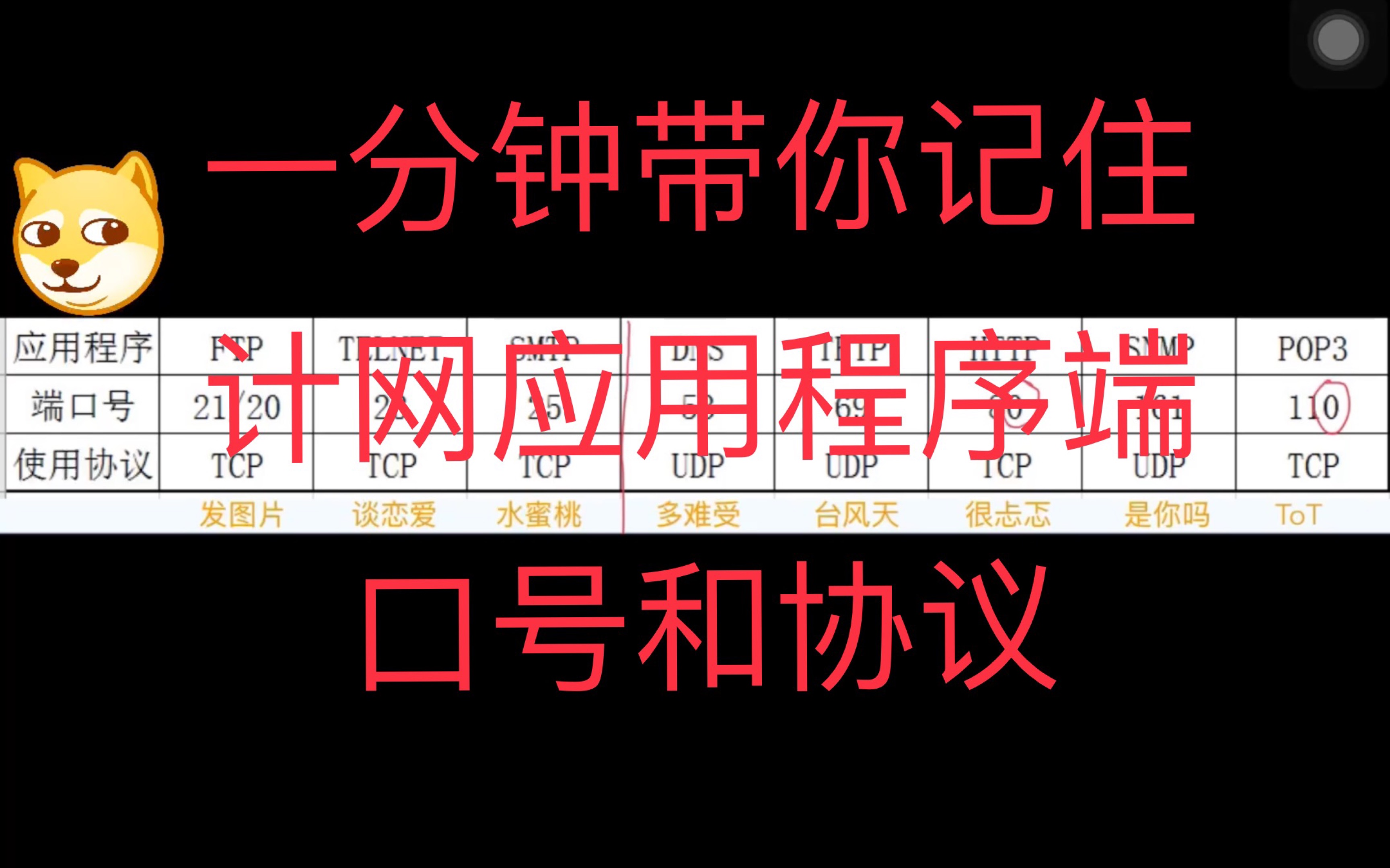 不看白不看一分钟就记住计网应用程序端口号协议