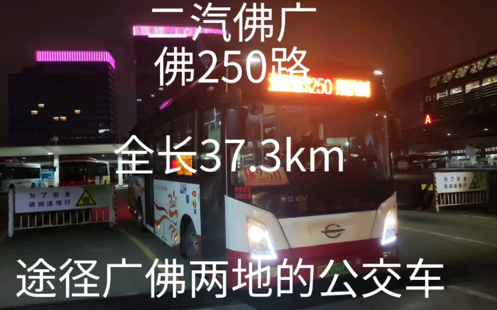 [图][POV 4]佛山公交250路（丹灶汽车客运站-滘口客运站）