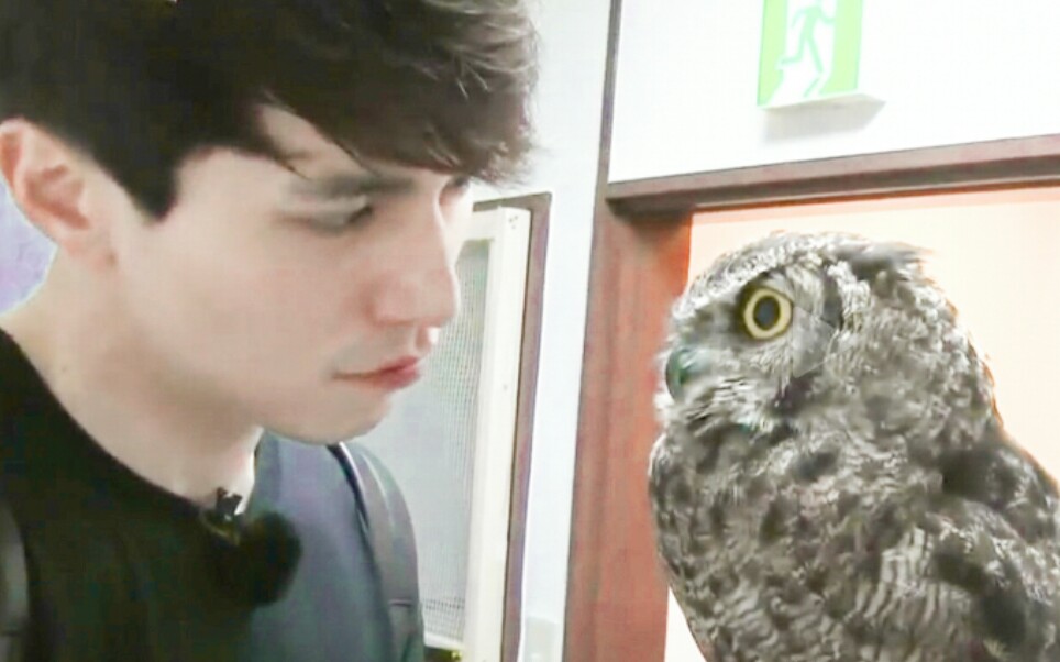 【综艺||沙雕向】当李栋旭遇到超可爱的猫头鹰宝宝《roommate》