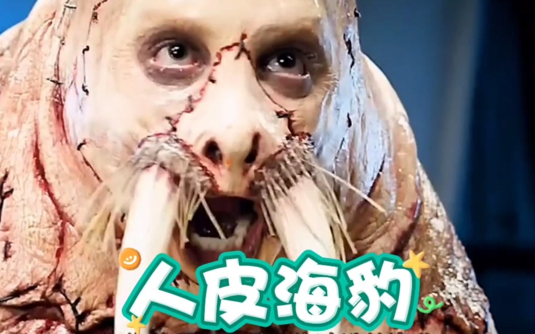 这只海豹有点恶心