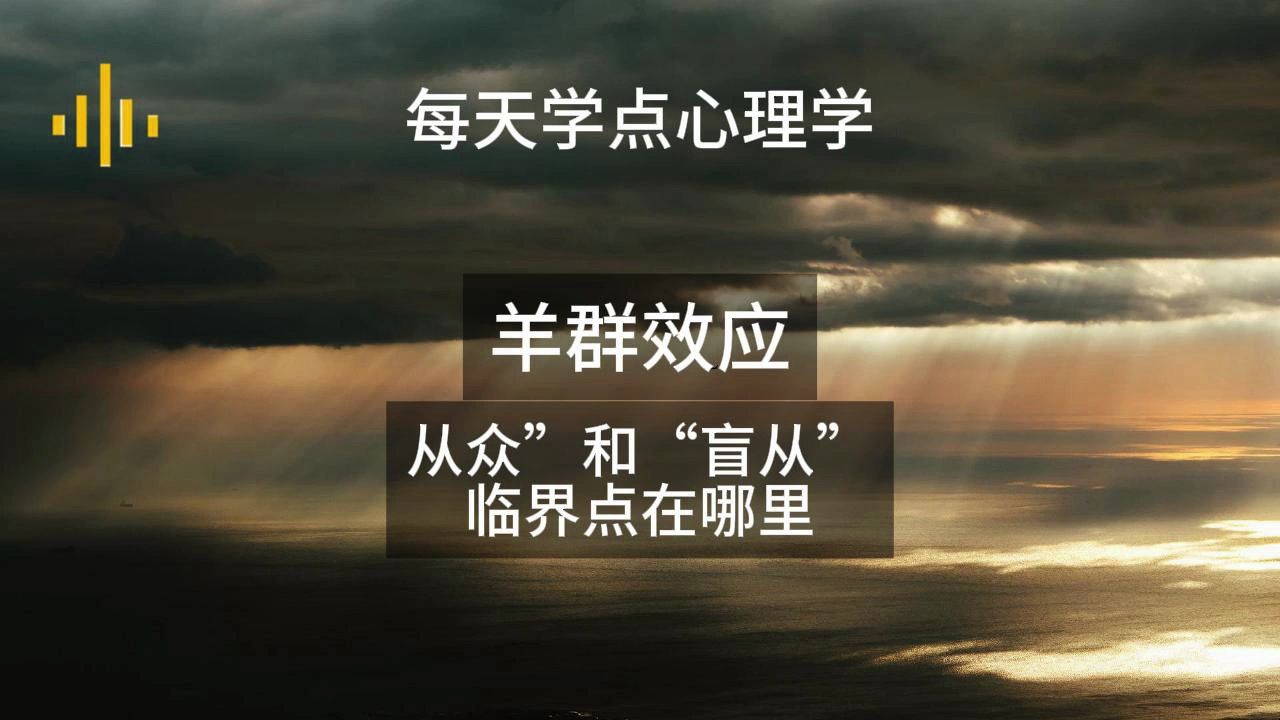 每天學點心理學9:羊群效應: