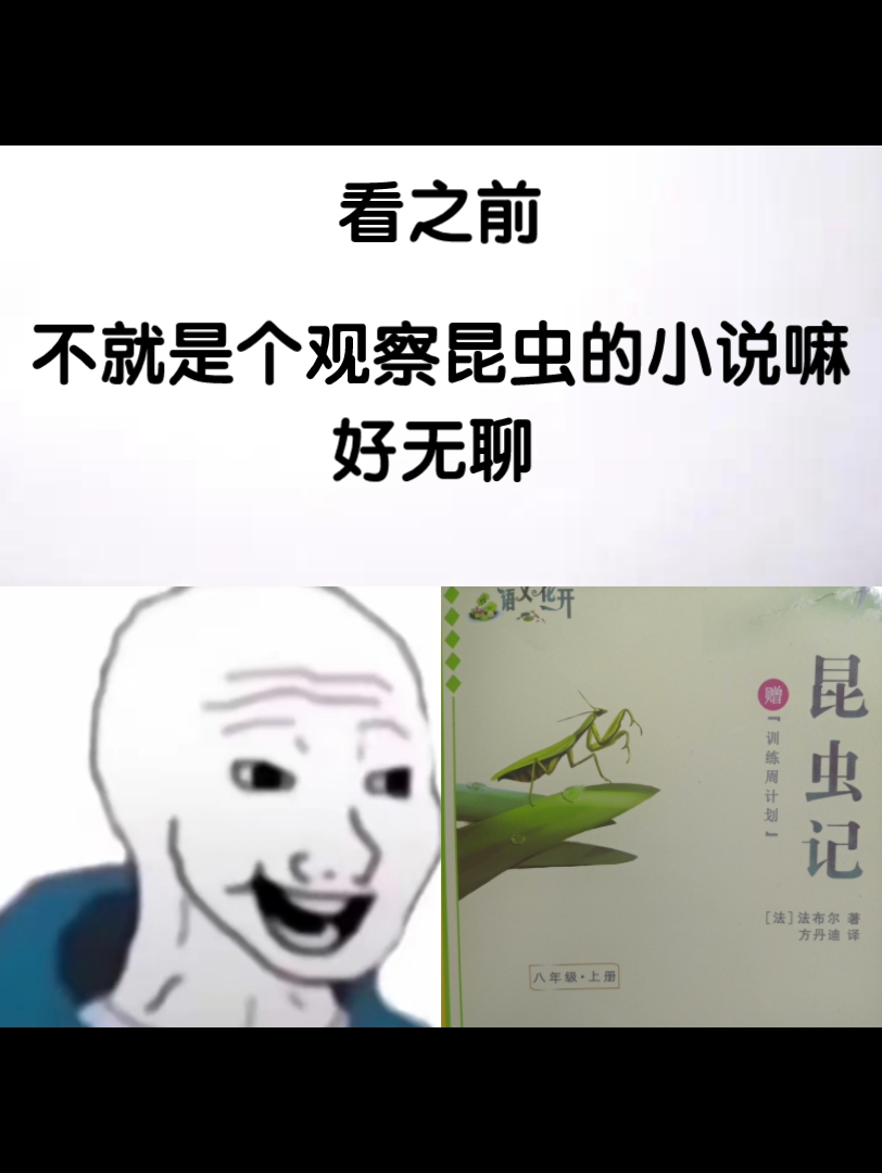 [图]昆虫记看之前VS看之后