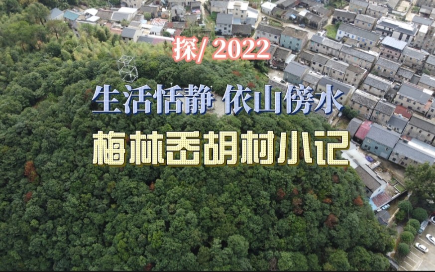 探宁波宁海梅林岙胡村,生活恬静,依山傍水的千年古村新变化!哔哩哔哩bilibili