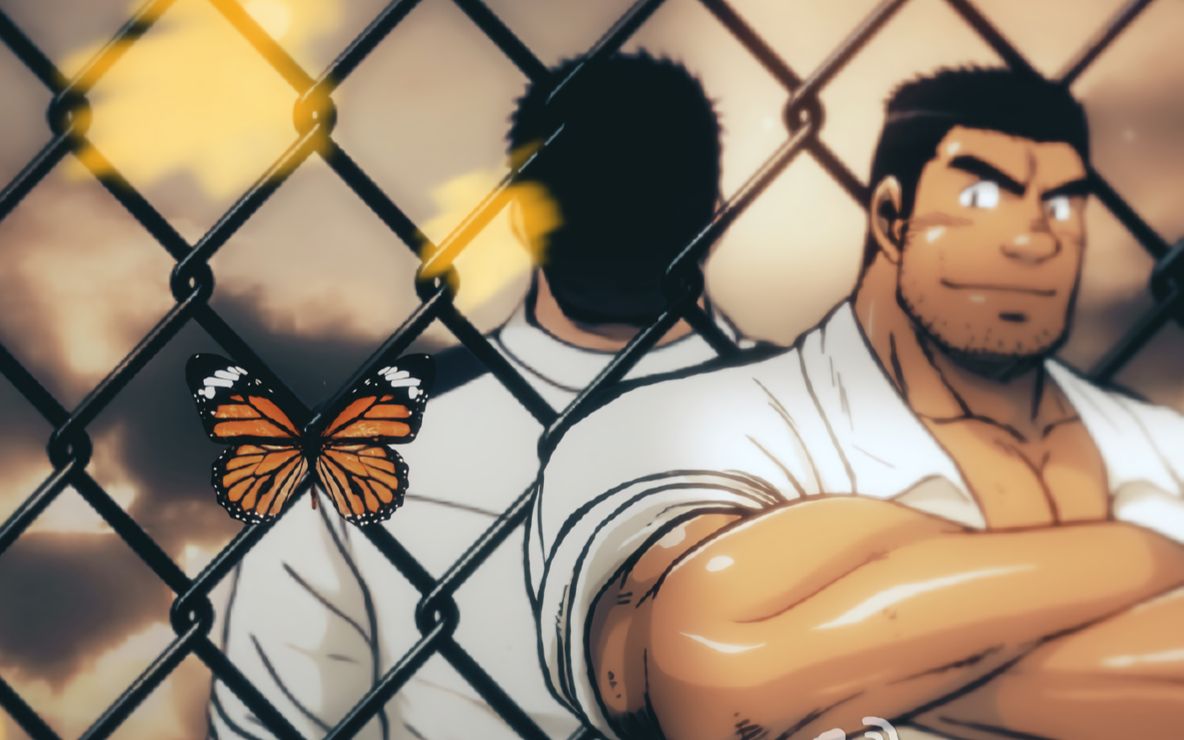 【tim2016单投/基佬向静止系mad】终将奔向希望之蝶