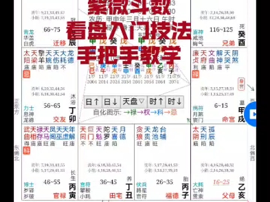 紫微斗数看盘入门技法,手把手教学.哔哩哔哩bilibili