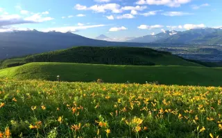 車山高原 搜索结果 哔哩哔哩 Bilibili