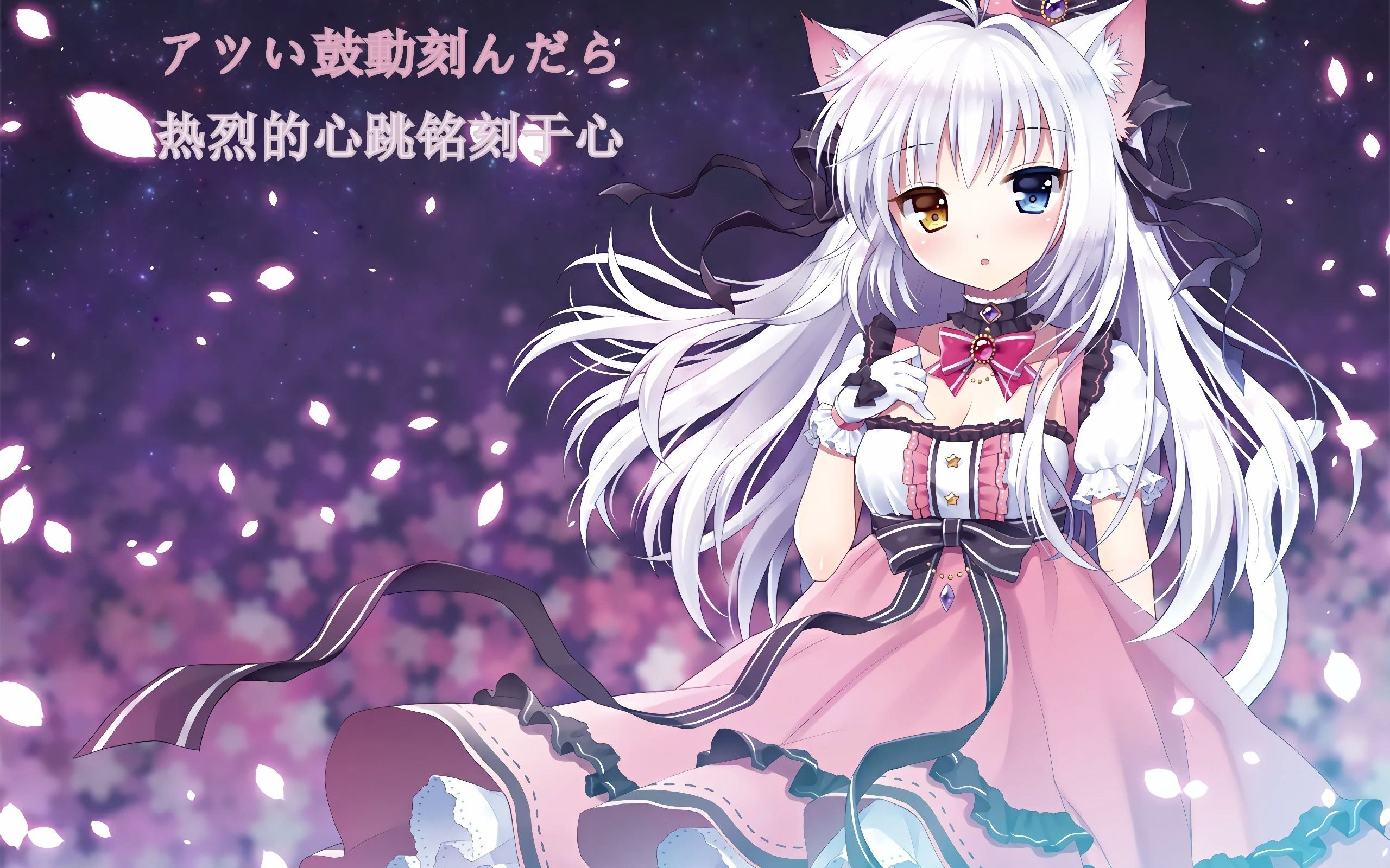 日系歌单—hanser - 猫耳开关