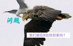 Descargar video: 我们能在B站找到紫吗？ 再次核对，紫到底在不在B站？