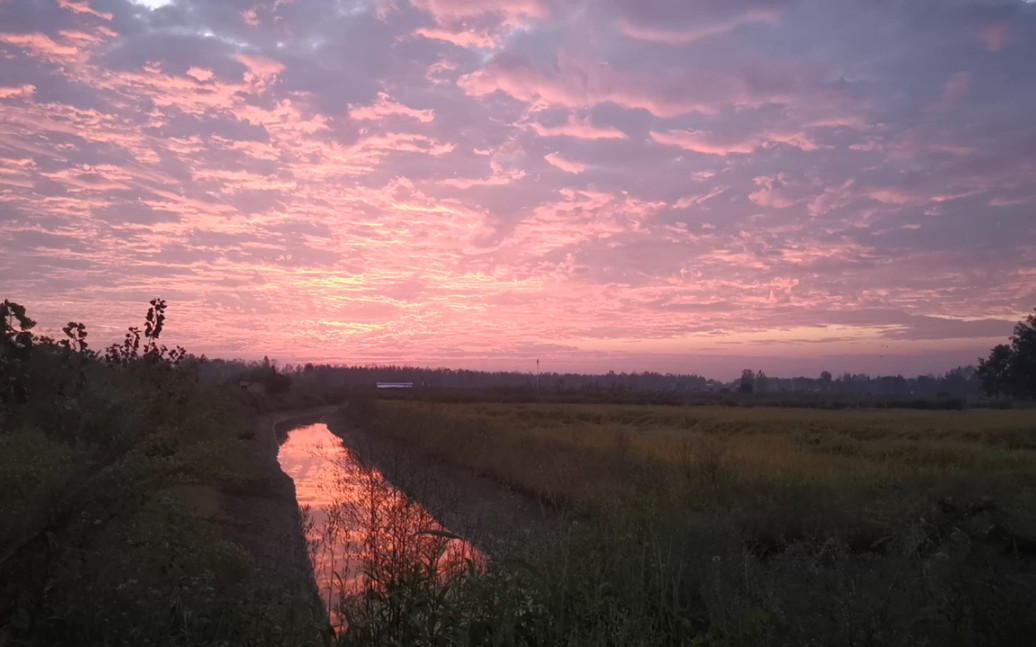 [图]故乡的秋天，晨曦初露，朝霞满天，怀念大自然的各种声音。