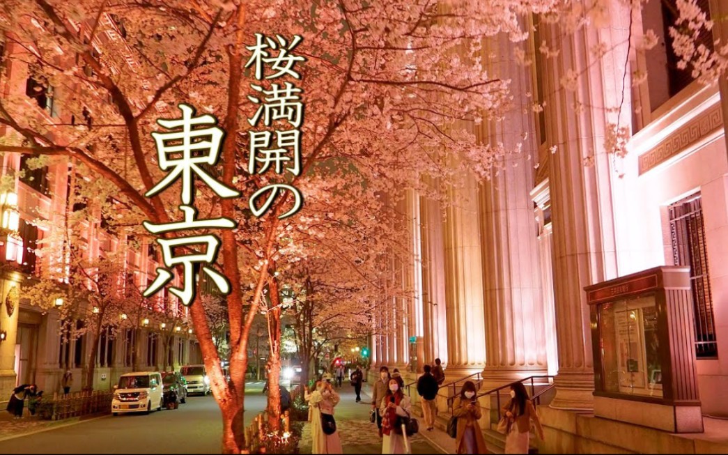 [樱花]东京.somei-yoshino品种的花在市中心盛开