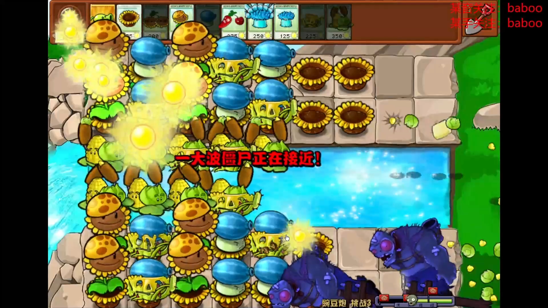 豌豆炮 挑战三 植物大战僵尸(杂交版)挑战模式