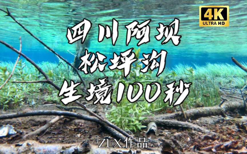 水下生境100秒|四川阿坝松坪沟海拔2680M段 3 在国内水下生境的美感方面,这里要是排第二,可能真的没有地方敢排第一哔哩哔哩bilibili